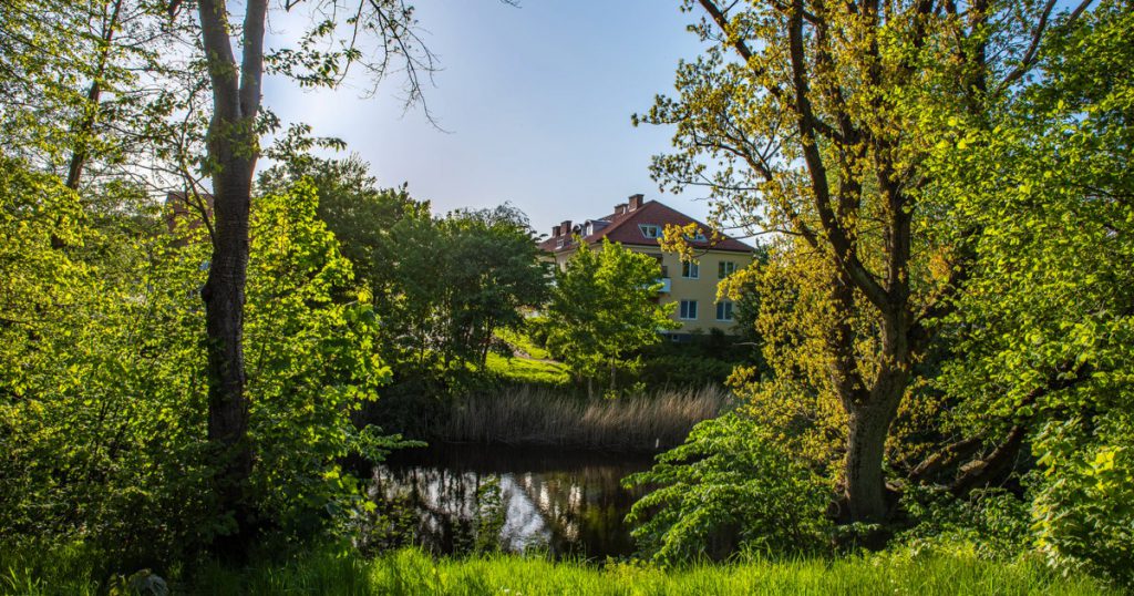 personlig assistans i ängelholm tindra assistans